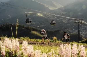 2025 Sun Valley Waitlist