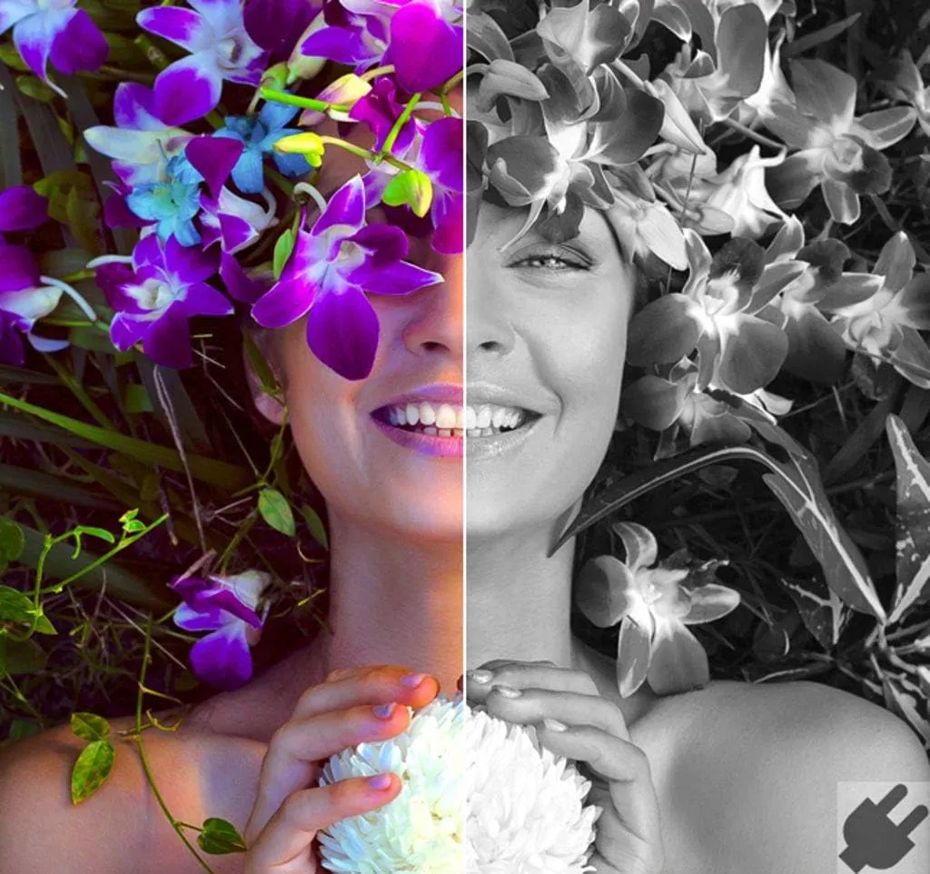 Corel AfterShot Pro 3 | RAW Photo Editing Software [PC/Mac Key Card]