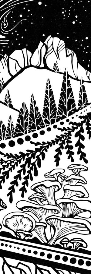 Forest Fern Fungi by Nicole Labonte