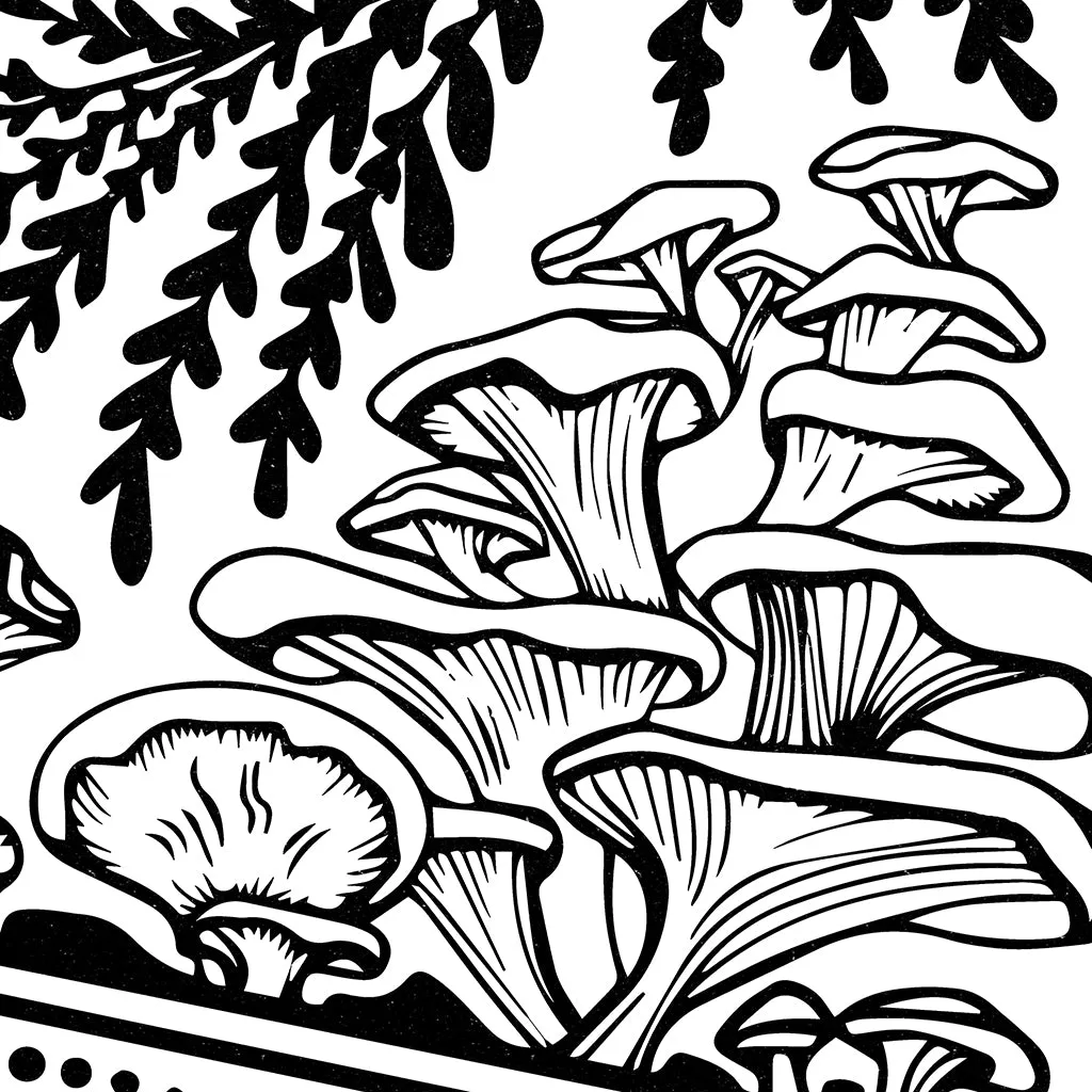 Forest Fern Fungi by Nicole Labonte