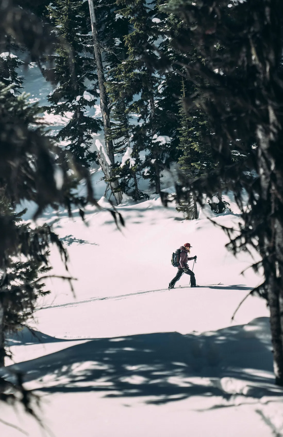 Swoon Splitboard Camber