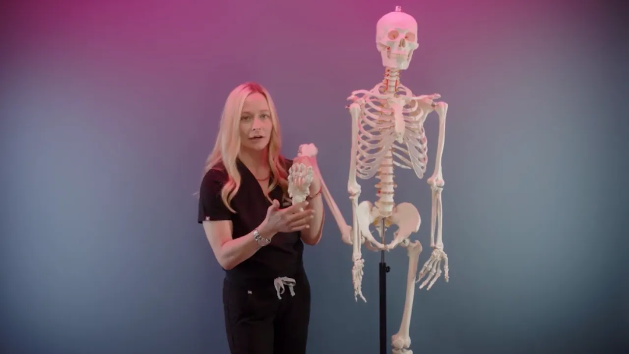 Yoga Anatomy - Anatomy, Physiology, and Biomechanics (7 hrs)