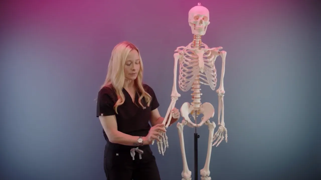 Yoga Anatomy - Anatomy, Physiology, and Biomechanics (7 hrs)